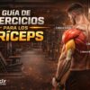 Guía de ejercicios para tríceps mostrando la anatomía muscular y sus tres cabezas