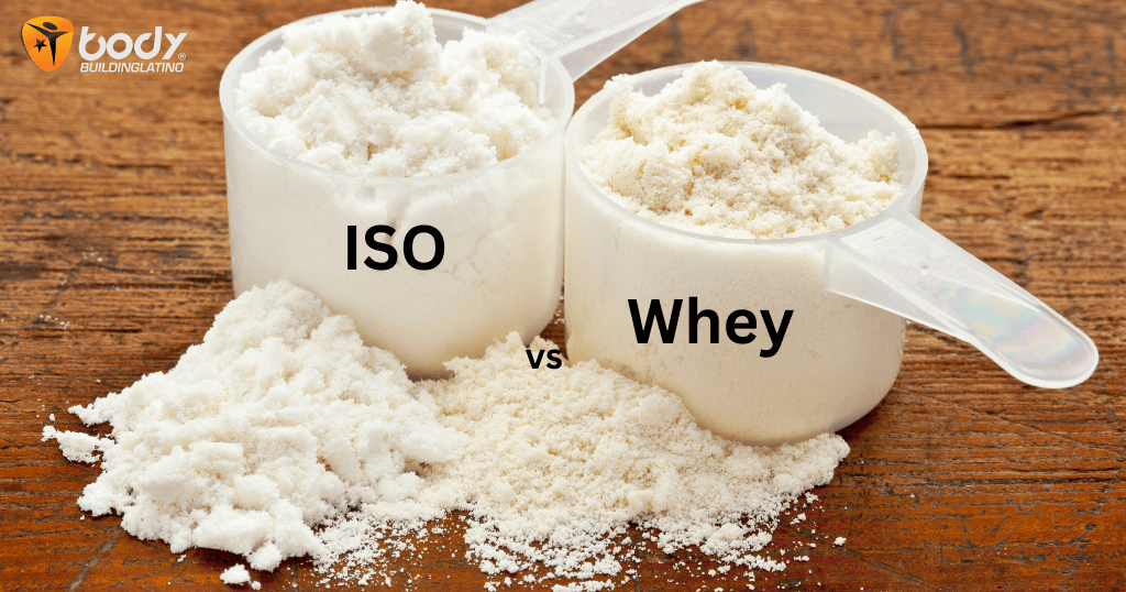 Whey Concentrate (WPC) vs Whey Isolate (WPI/ISO): Diferencias, Beneficios y Cuál Elegir